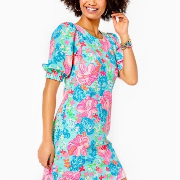 Lilly Pulitzer NWT dress - Picture 3 of 8